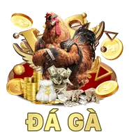 Đăng Ký Mới